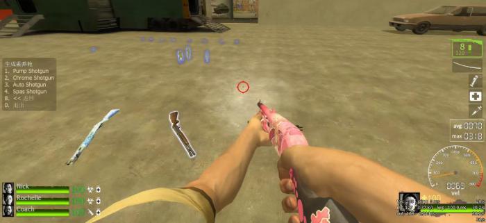 求生之路霰弹枪有哪些2