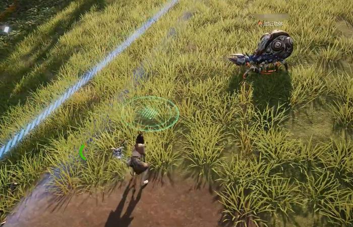 荒野起源新手入门指南4