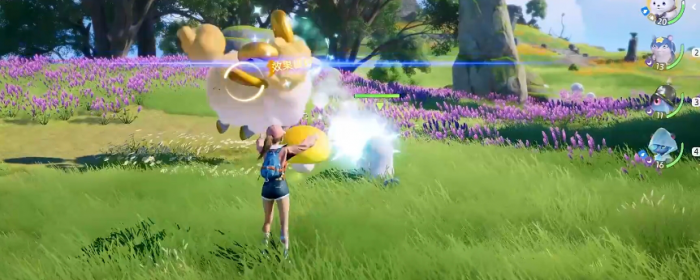 伊莫新手期宠物怎么选1