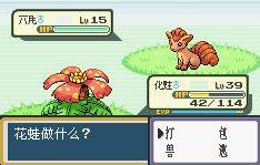 想知道如何在口袋妖怪火红中进行二周目游戏2