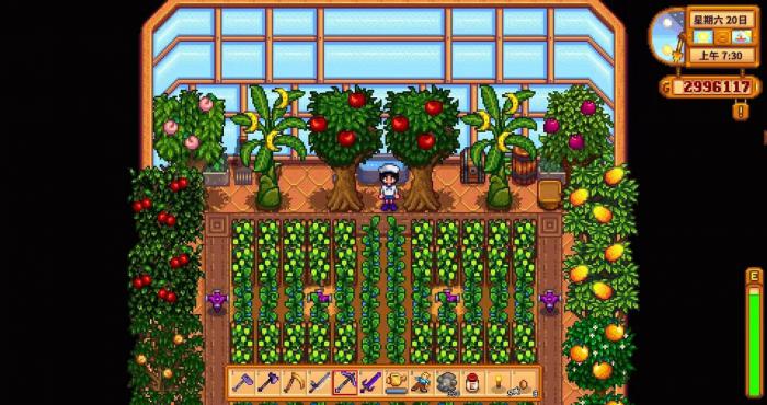 星露谷物语秋季种植有哪些方向1