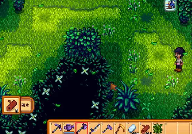 星露谷物语秘密森林可以获取哪些资源1