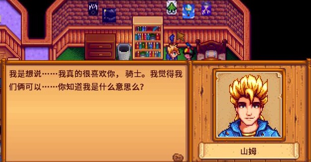 星露谷物语结婚对象要该如何选择3