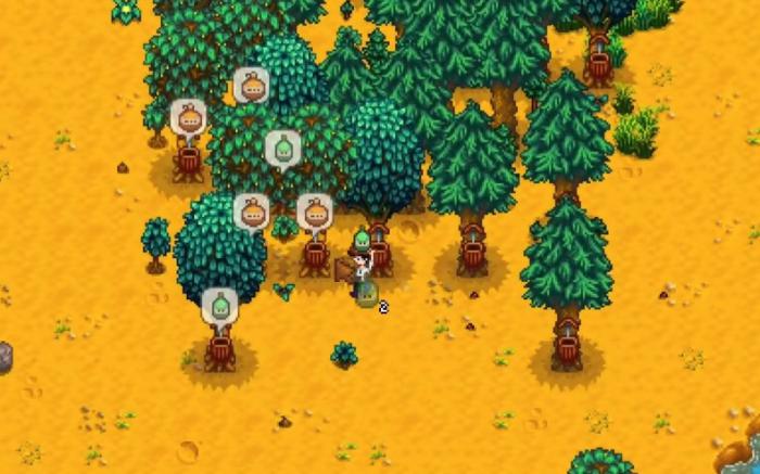 星露谷物语枫糖浆怎么获取1