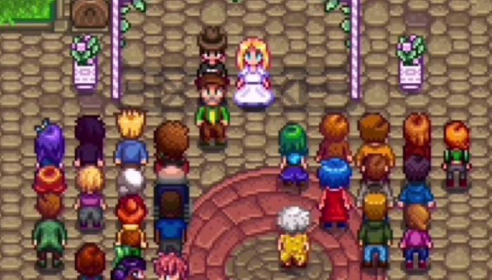 星露谷物语海莉十星剧情选什么1