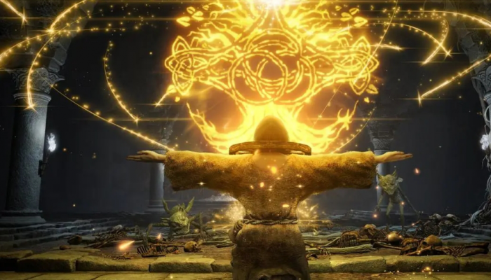 艾尔登法环各种族都有谁3