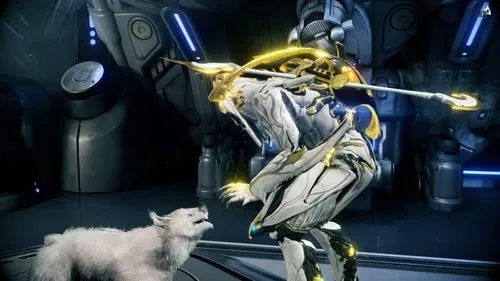 星际战甲库狛的蛋怎么找2