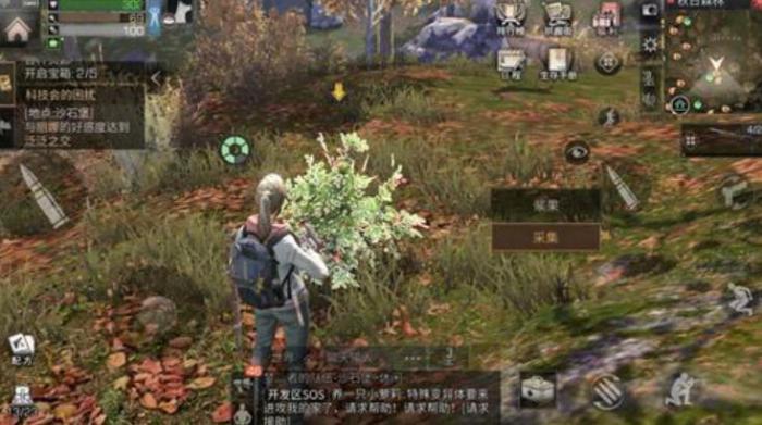 明日之后秋日森林资源有哪些2