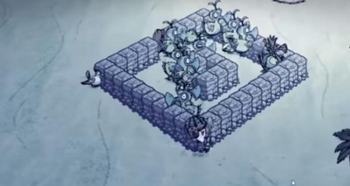 饥荒海难渡渡鸟怎么养殖2