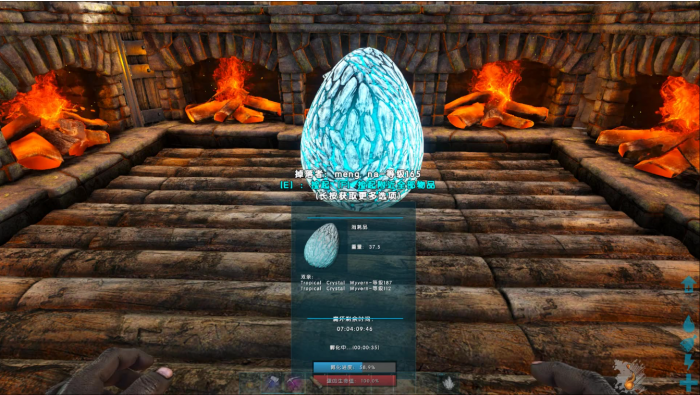 方舟生存进化中如何孵化龙蛋2
