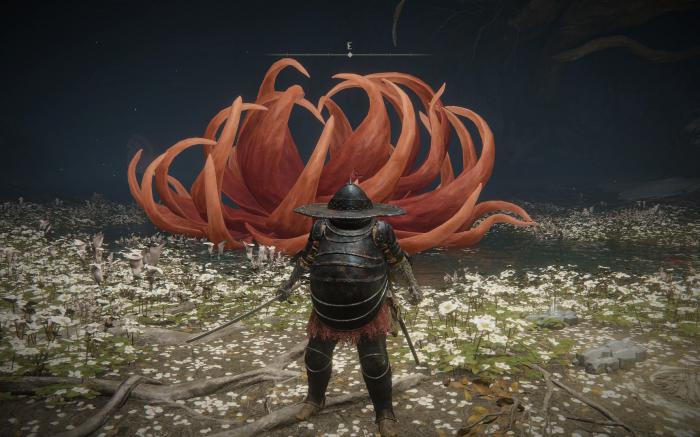 艾尔登法环菈妮支线剧情是什么2