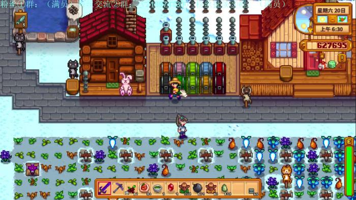 星露谷物语如何养鸡2