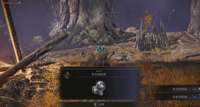 艾尔登法环法师后期怎么加点2