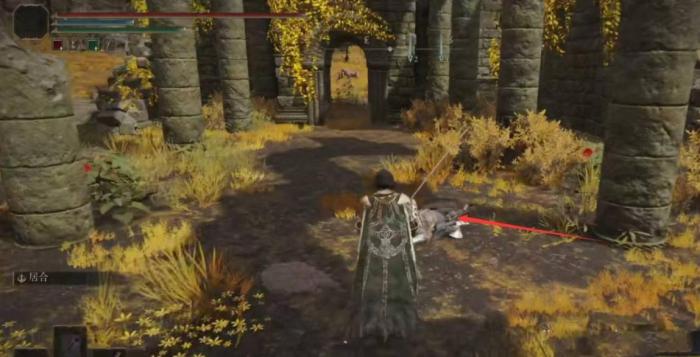 艾尔登法环长牙太刀npc套装2