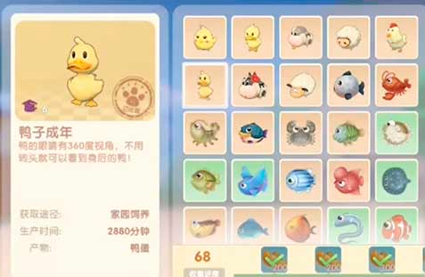 摩尔庄园手游怎么养鸭1