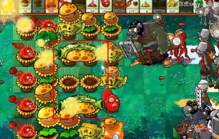 《植物大战僵尸杂交版》挑战模式第36关通关攻略5