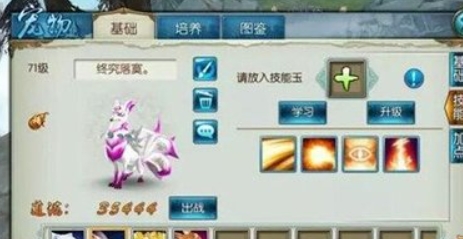 诛仙手游宠物狐狸用什么技能玉1