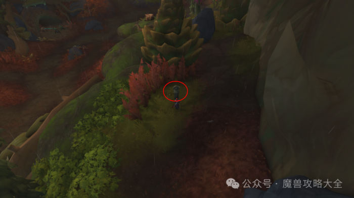 魔兽世界先祖战熊怎么获得2