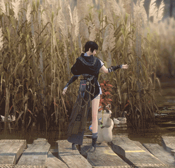 《逆水寒》新宠物小浣熊介绍6