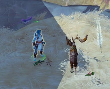 《魔兽世界》晋升堡垒宠物对战世界任务介绍3