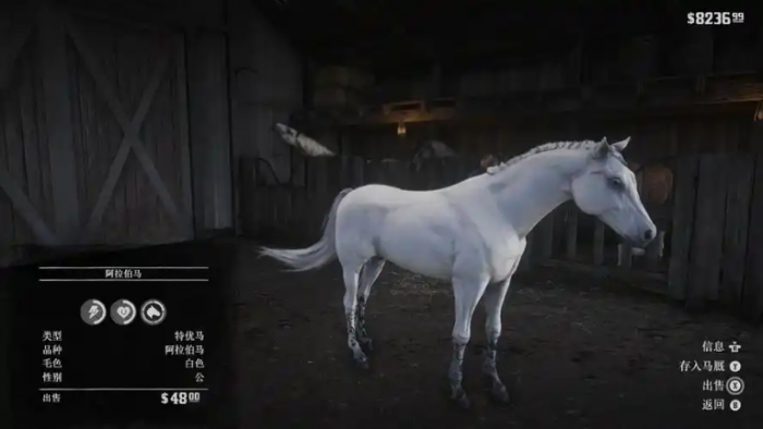 荒野大镖客2白阿拉伯马怎么抓1