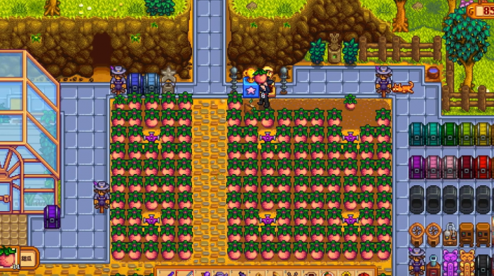 星露谷物语甜瓜怎么变成巨大作物1