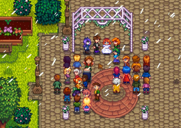 星露谷物语和潘妮结婚有什么好处2