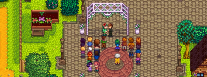 星露谷物语如何建造婴儿房1