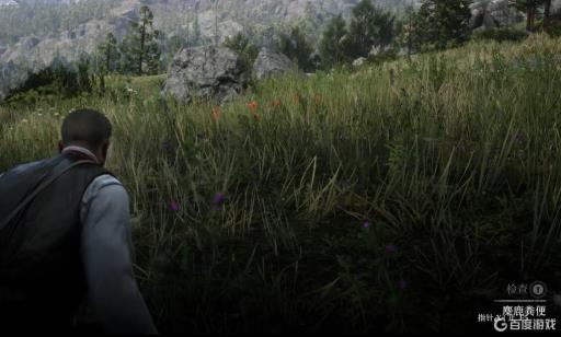 荒野大镖客2传说麋鹿为什么找不到线索?3