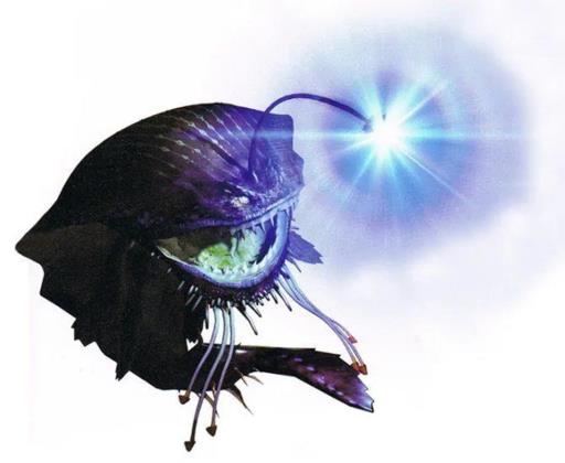 怪物猎人3有哪些怪兽?11