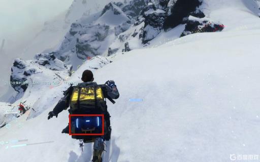 死亡搁浅稳定器普通版有吗?1