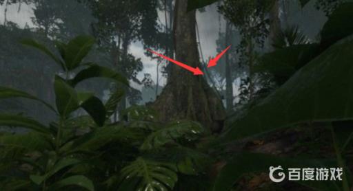 绿色地狱死藤水材料在哪?3