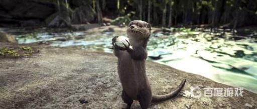 方舟水獭有啥用?2