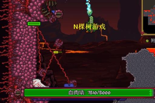 泰拉瑞亚龟壳在哪刷?2