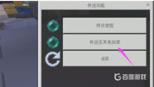 我的世界花雨庭怎么组队?6