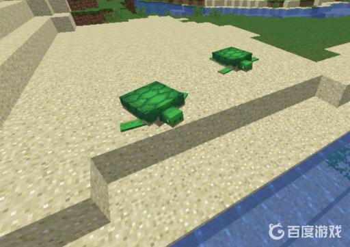 我的世界海龟孵化后在哪?1