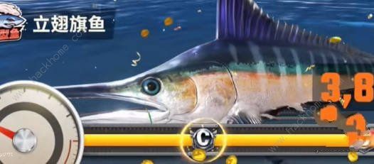 欢乐钓鱼大师稀有鱼怎么钓2