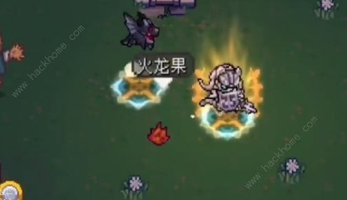 元气骑士前传宠物怎么喂食3