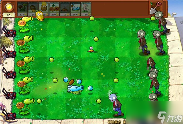 《植物大战僵尸》杂交版关卡攻略6