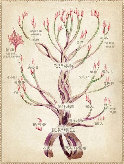 LOL手游梵斯塔雅人都有谁2