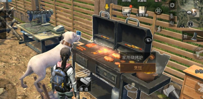 明日之后寻回犬怎么训练1