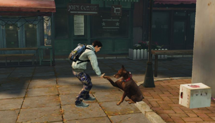 明日之后寻回犬怎么训练2