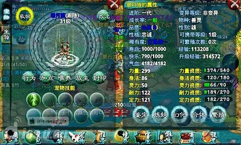 忘仙玄天灵玉怎么用3